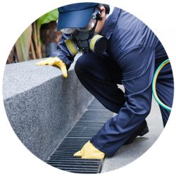 pest-technician pest-technician