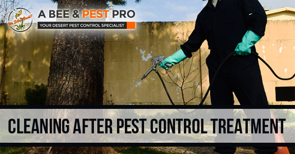 Cleaning Before & After Pest Control Treatments